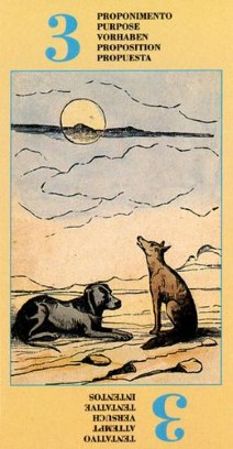 Purpose / Attempt