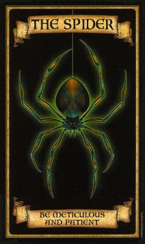 Паук