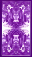 Рубашка колоды